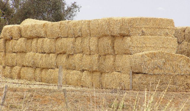 sweet meadow farm hay hay 642x375
